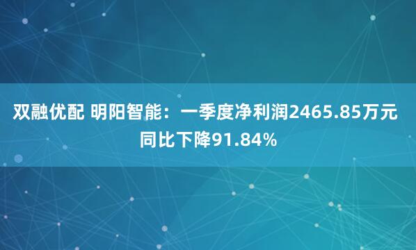 双融优配 明阳智能：一季度净利润2465.85万元 同比下降91.84%